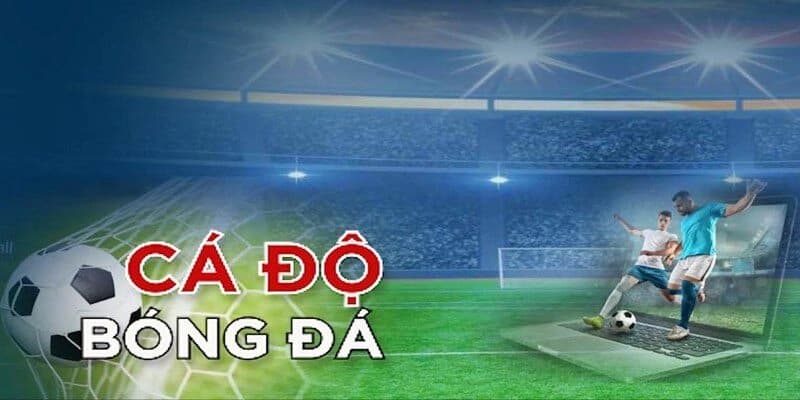 Những dấu hiệu cần tránh khi theo kèo bóng cỏ là gì?